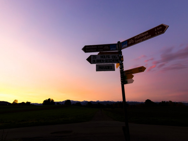 Afbeelding van Speelruimte gezocht: hoe kun je toekomstgericht kerk zijn?